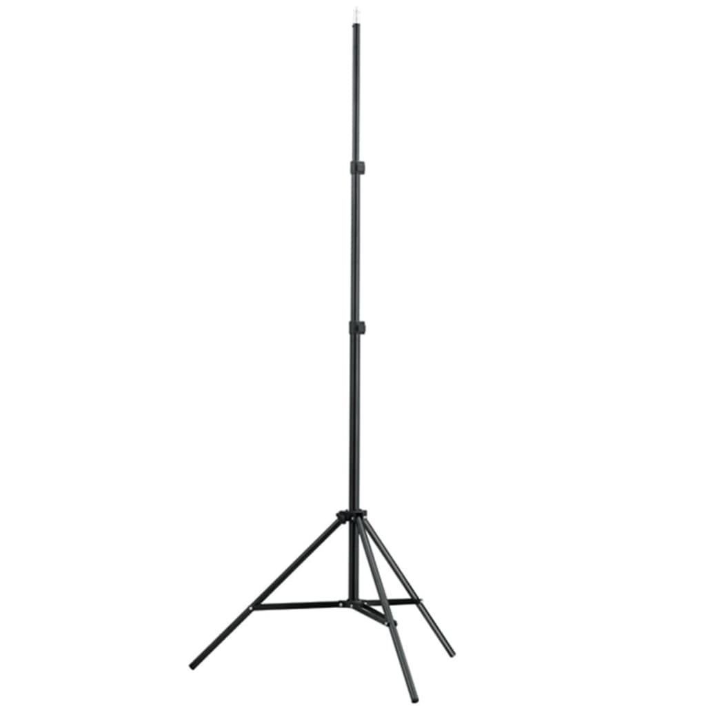 vidaXL Système de toile de fond télescopique 155-300 cm