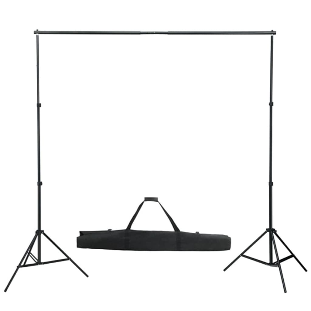 vidaXL Système de support de toile de fond de photo 600 x 300 cm Noir