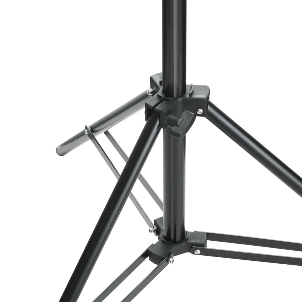 vidaXL Système de support de toile de fond 500 x 300 cm Noir