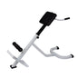 vidaXL Banc de musculation du dos