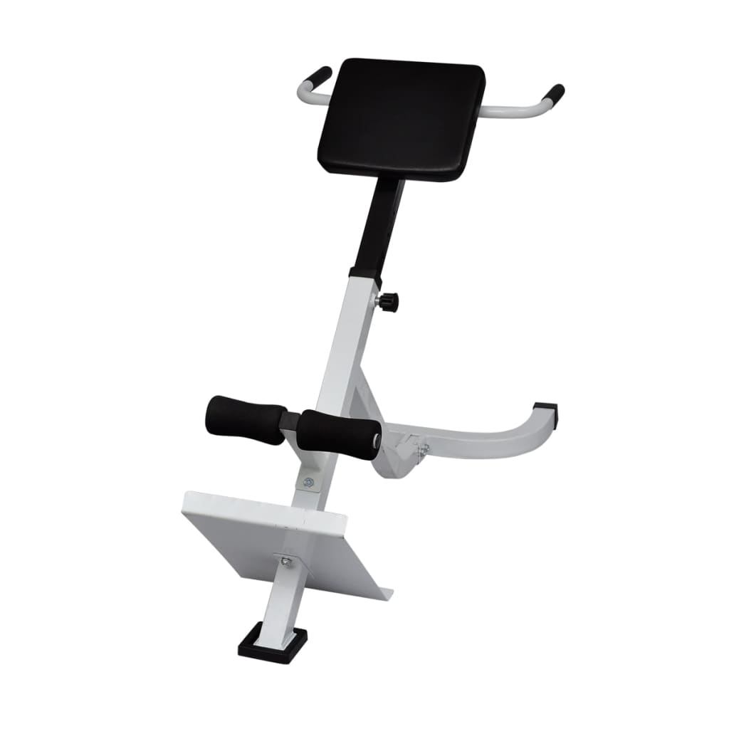 vidaXL Banc de musculation du dos
