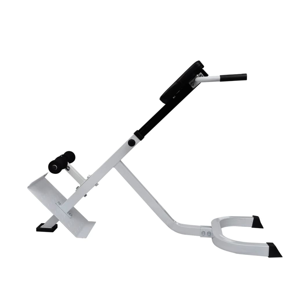 vidaXL Banc de musculation du dos