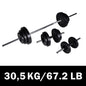 vidaXL Haltère 2 pcs 30,5 kg