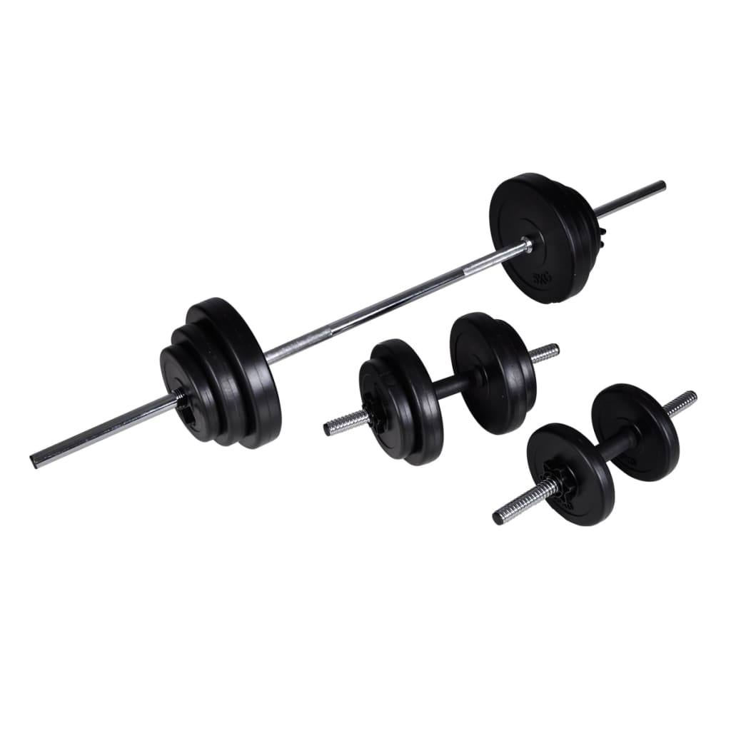 vidaXL Haltère 2 pcs 30,5 kg