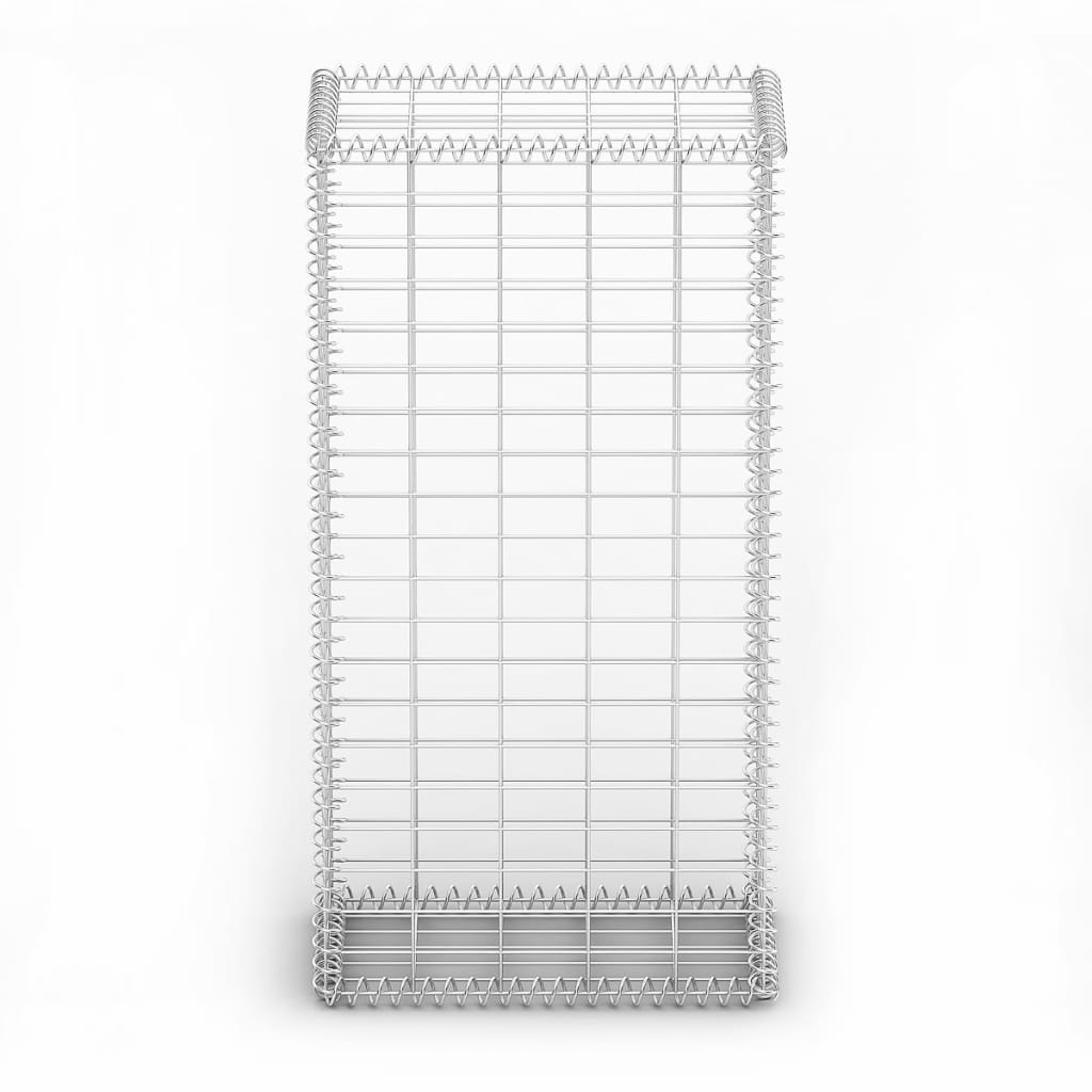 vidaXL Panier de gabion avec couvercle Fil galvanisé 100 x 50 x 30 cm
