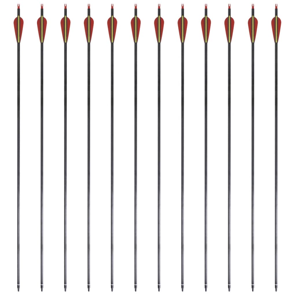 12 flèches standard en carbone 30" 0,76 cm pour arc classique