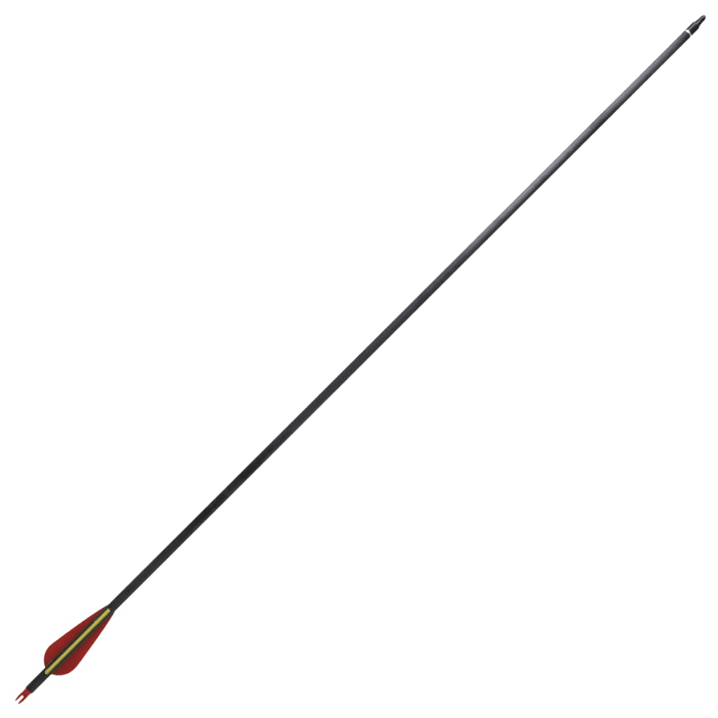 12 flèches standard en carbone 30" 0,76 cm pour arc classique