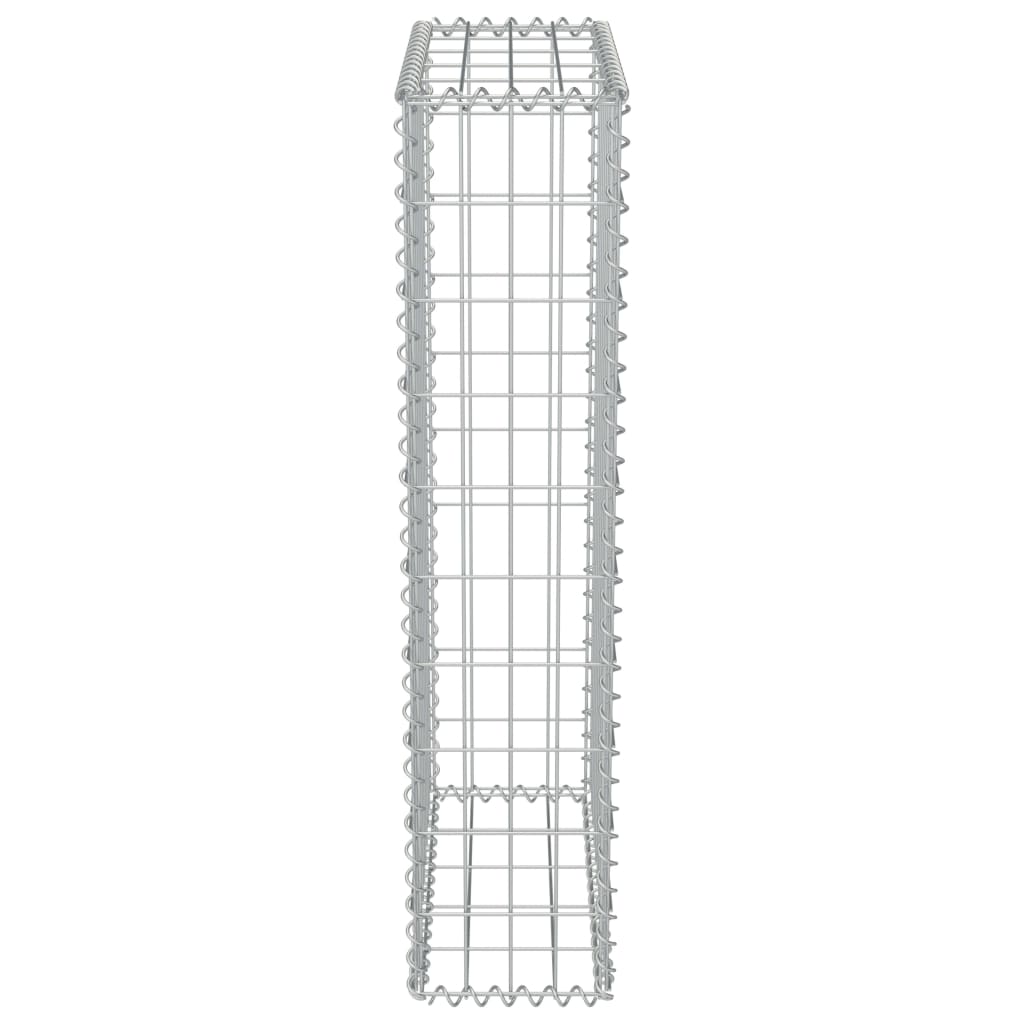 vidaXL Mur en gabion avec couvercles Acier galvanisé 50 x 20 x 100 cm