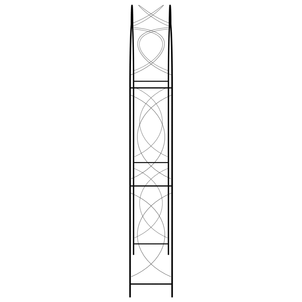 vidaXL Voûte de jardin Noir 150x34x240 cm Fer