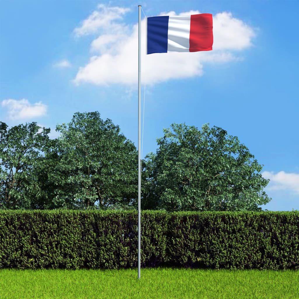 vidaXL Drapeau français 90x150 cm