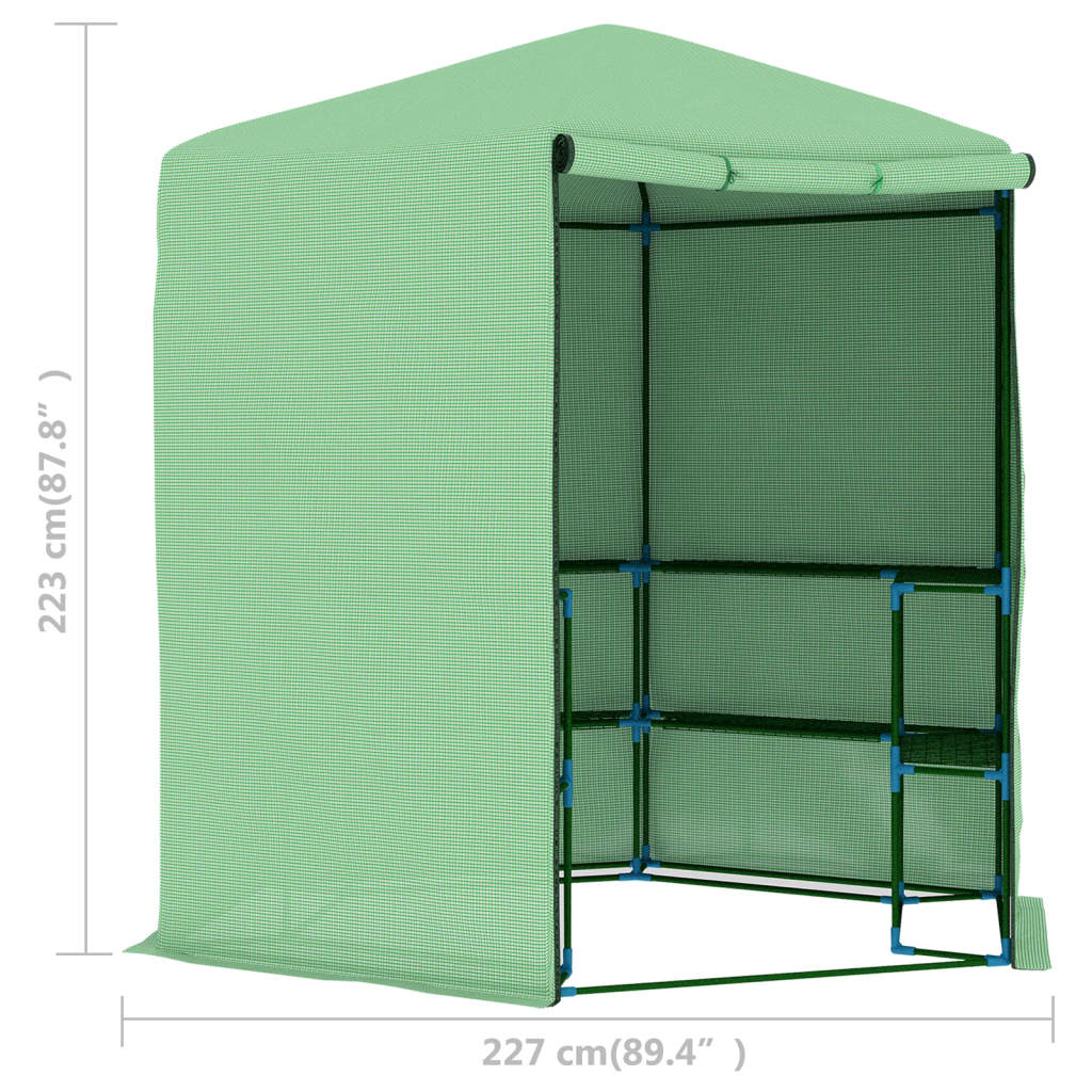 vidaXL Serre avec étagères Acier 227x223 cm