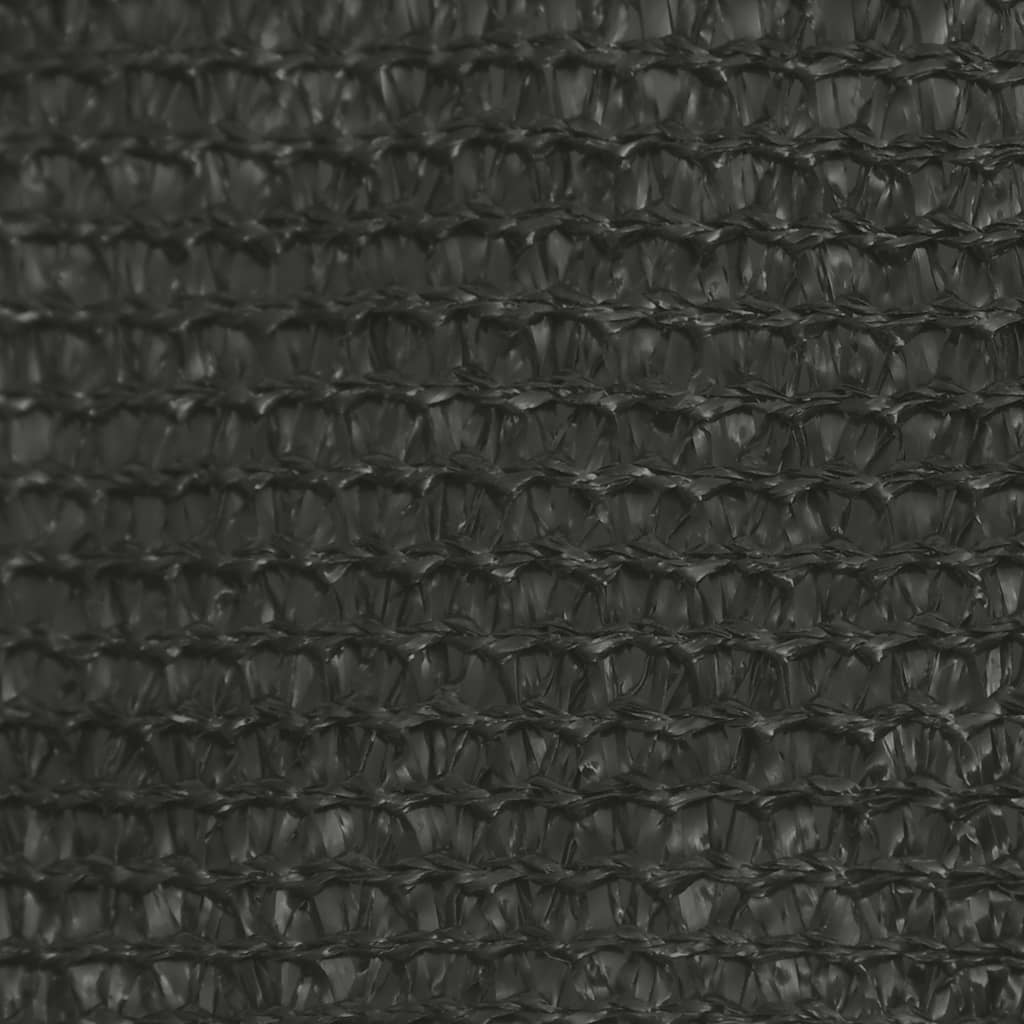 vidaXL Voile d'ombrage 160 g/m² Anthracite 3x6 m PEHD