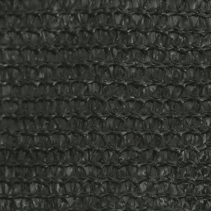vidaXL Voile d'ombrage 160 g/m² Anthracite 3x6 m PEHD