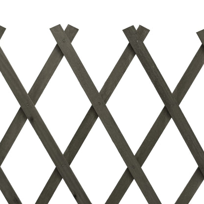 vidaXL Clôture en treillis de jardin Gris 120x60 cm Bois de sapin