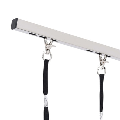 vidaXL Table de toilettage réglable de chiens avec 2 boucles et panier