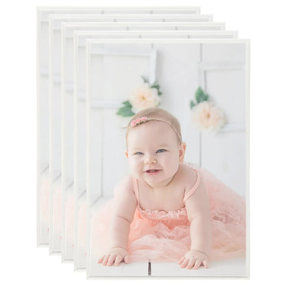 vidaXL Collage de cadres photo 5 pcs de table Argenté 21x29,7 cm MDF