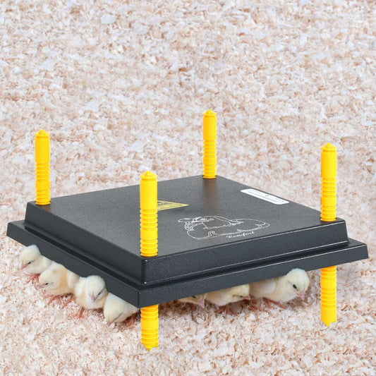 vidaXL Plaque chauffante pour poussins avec régulateur de température