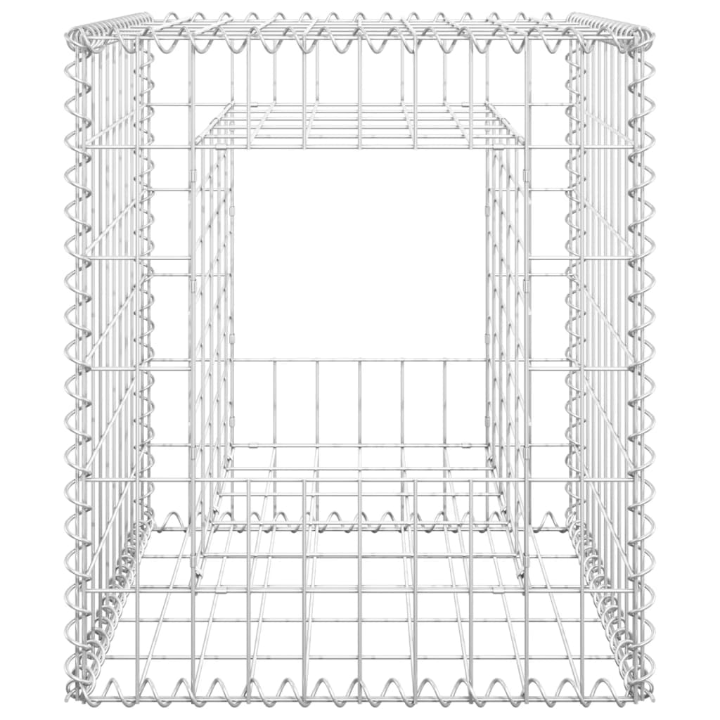 vidaXL Poteaux à panier de gabion 2 pcs 50x50x60 cm Fer