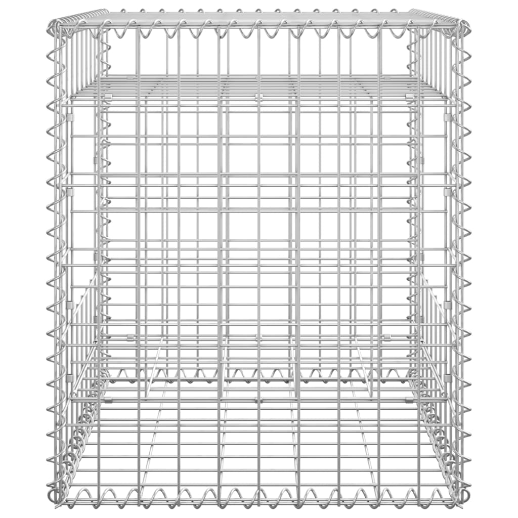 vidaXL Poteaux à panier de gabion 2 pcs 50x50x60 cm Fer