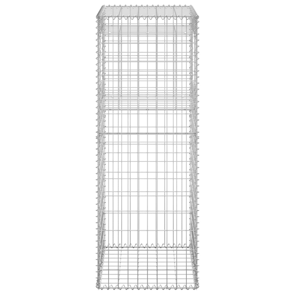 vidaXL Poteaux à panier de gabion 2 pcs 50x50x140 cm Fer