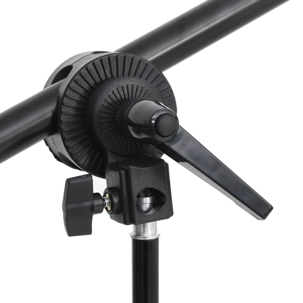 vidaXL Kit d'éclairage de studio avec trépied et boîte à lumière