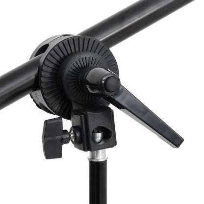 vidaXL Kit d'éclairage de studio avec trépied et boîte à lumière