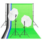 vidaXL Kit d'éclairage de studio avec toiles de fond et parapluies