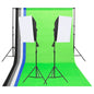 vidaXL Kit d'éclairage studio avec toiles de fond et boîtes à lumière