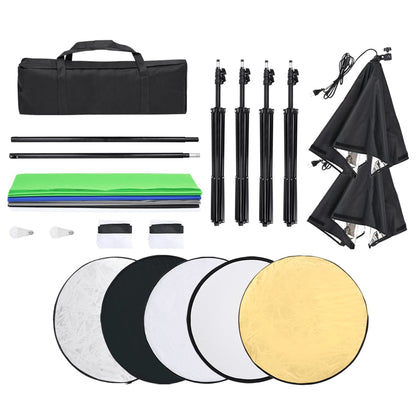 vidaXL Kit d'éclairage studio avec toiles de fond et boîtes à lumière