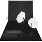 vidaXL Kit de studio photo avec éclairage et toile de fond