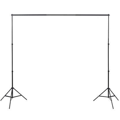 vidaXL Kit de studio photo avec éclairage et toile de fond