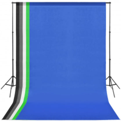 vidaXL Kit de studio photo avec boîte à lumière et toile de fond