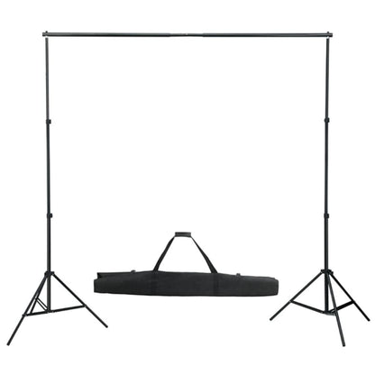 vidaXL Kit de studio photo avec éclairage et toile de fond