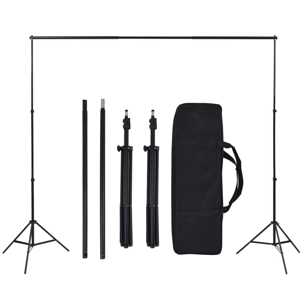 vidaXL Kit de studio photo avec éclairage et toile de fond
