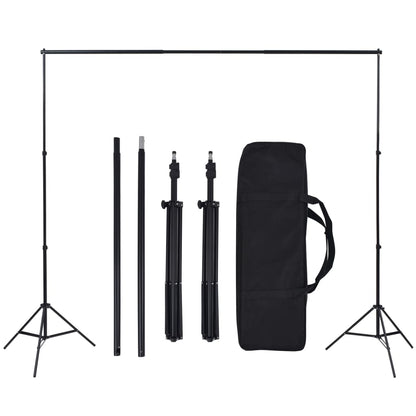 vidaXL Kit de studio photo avec éclairage et toile de fond