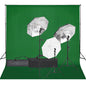 vidaXL Kit de studio photo avec éclairage et toile de fond