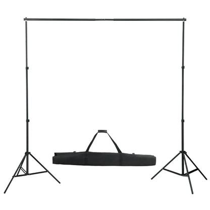 vidaXL Kit de studio photo avec éclairage et toile de fond