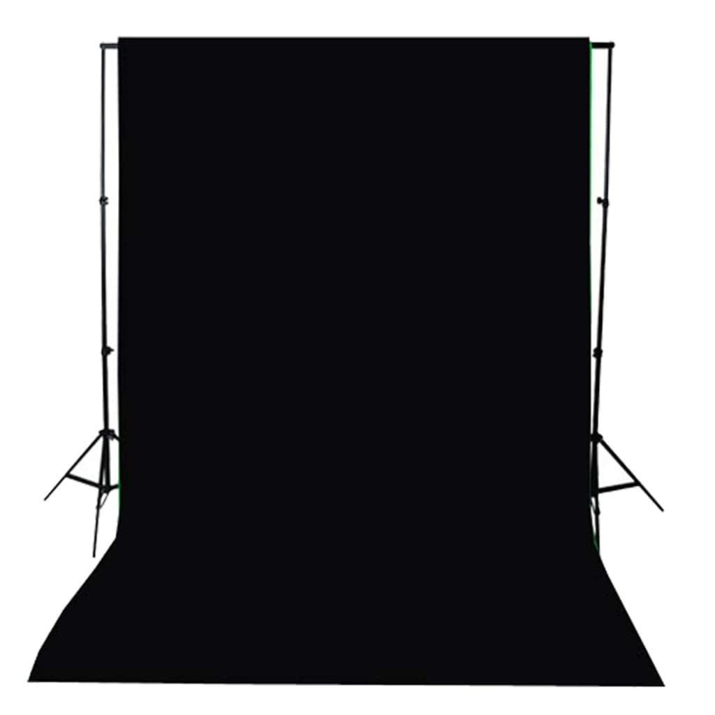 vidaXL Kit de studio photo avec éclairage et toile de fond