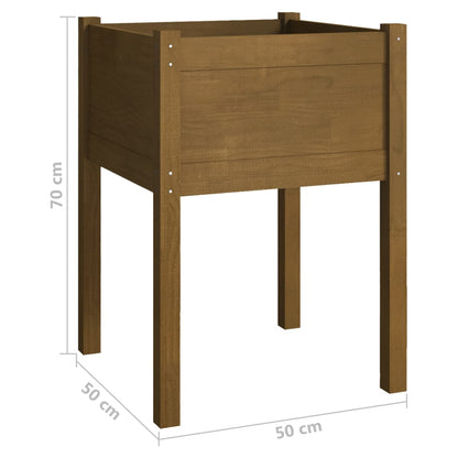 vidaXL Jardinières 2 pcs Marron miel 50x50x70 cm Bois de pin massif