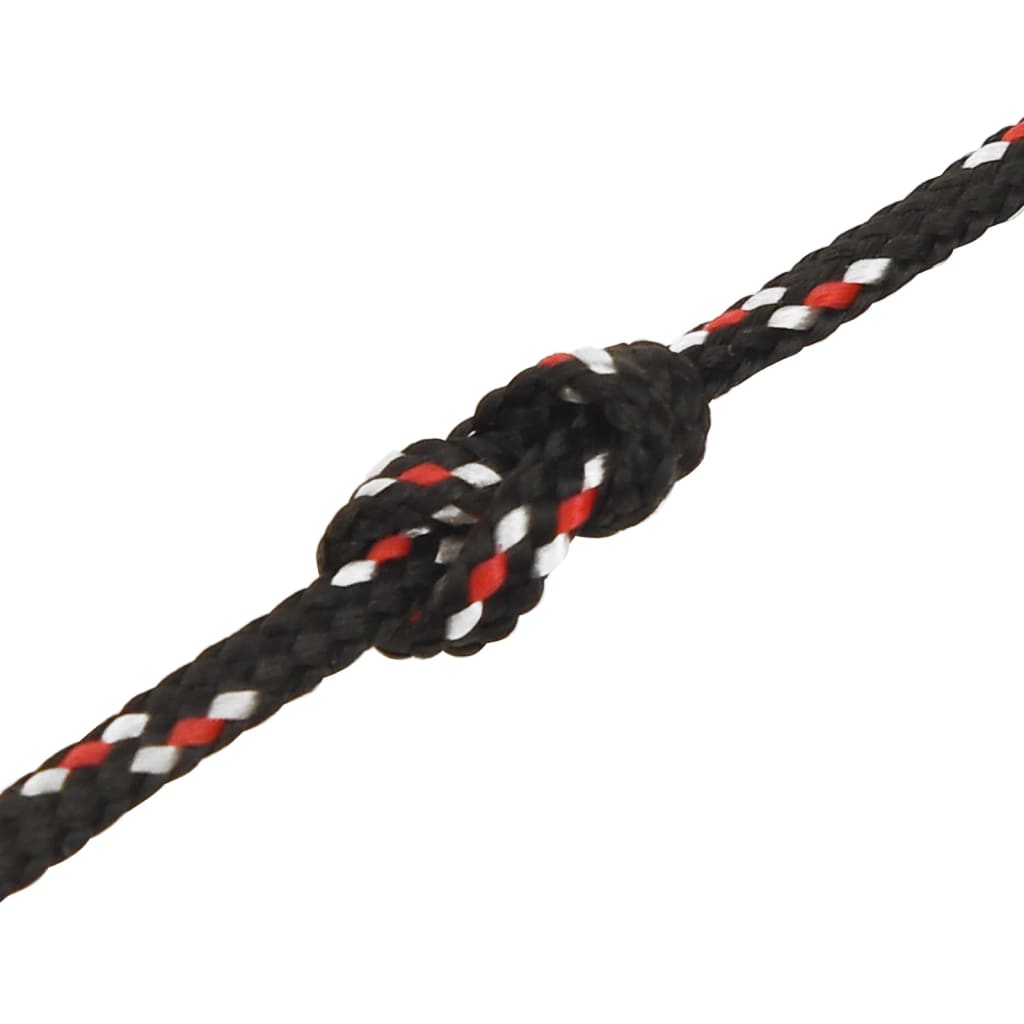 vidaXL Corde de bateau Noir 2 mm 25 m Polypropylène
