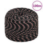 vidaXL Corde de bateau Noir 10 mm 100 m Polypropylène