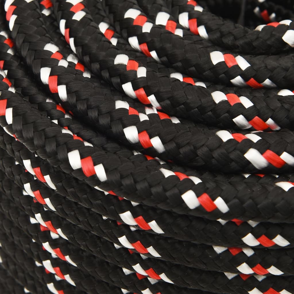 vidaXL Corde de bateau Noir 12 mm 25 m Polypropylène