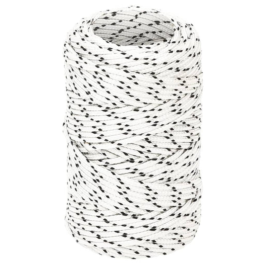 vidaXL Corde de bateau tressé Blanc 2 mmx25 m Polyester