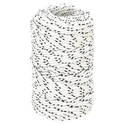 vidaXL Corde de bateau tressé Blanc 2 mmx100 m Polyester