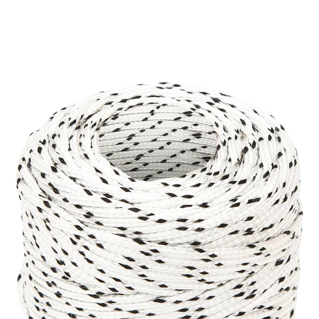 vidaXL Corde de bateau tressé Blanc 2 mmx250 m Polyester