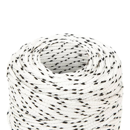 vidaXL Corde de bateau tressé Blanc 2 mmx250 m Polyester