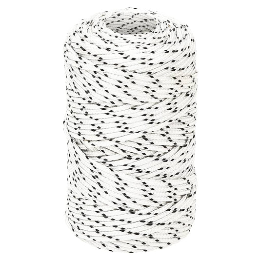 vidaXL Corde de bateau tressé Blanc 2 mmx500 m Polyester