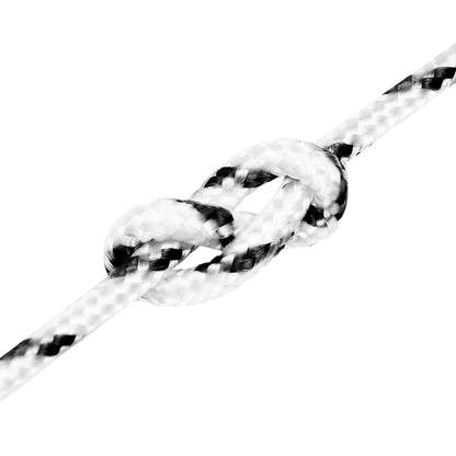 vidaXL Corde de bateau tressé Blanc 3 mmx250 m Polyester