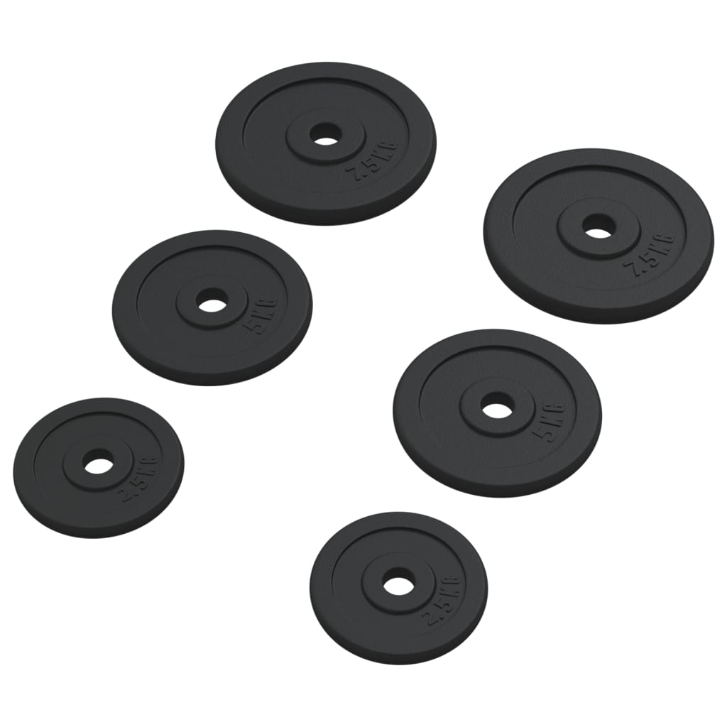 vidaXL Plaques de poids 6 pcs 30 kg Fonte