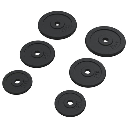 vidaXL Plaques de poids 6 pcs 30 kg Fonte
